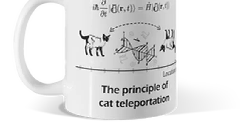 The theory of cat teleportation