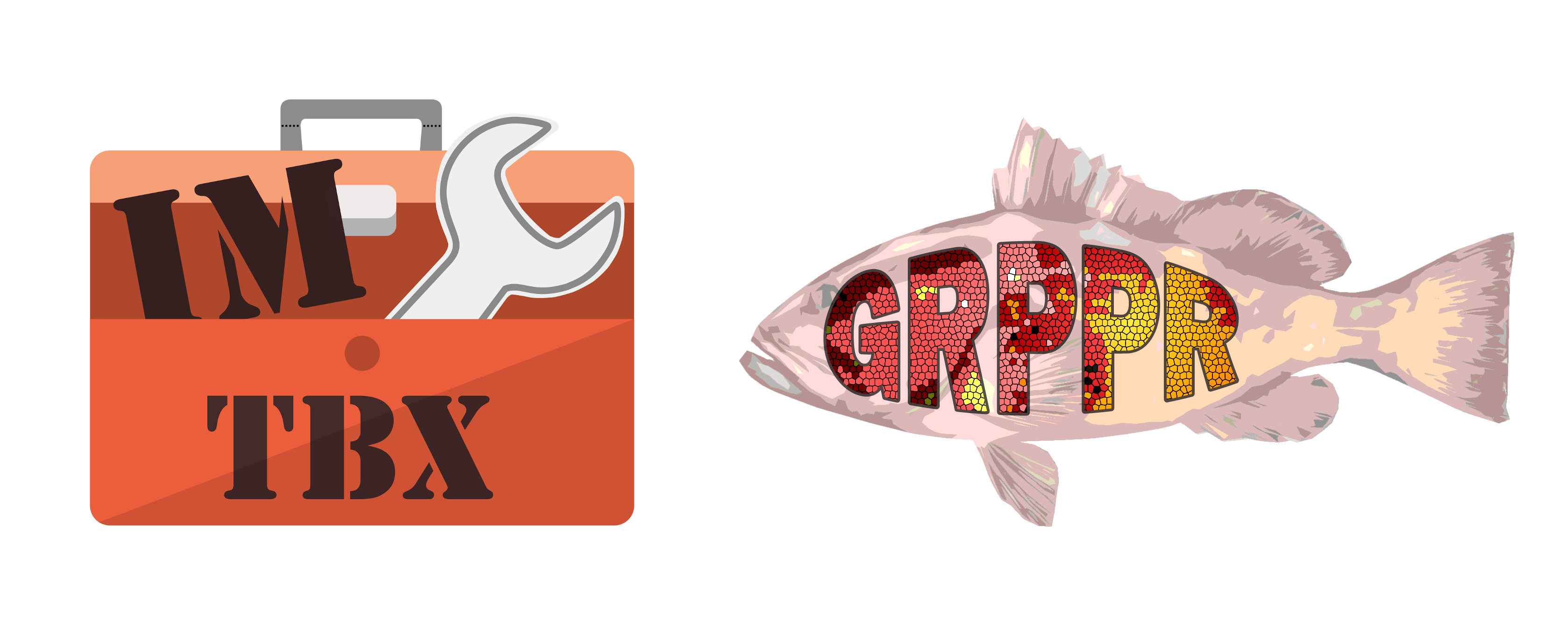 IMTBX+Grppr: Ion Mobility Toolbox + Isotopic Grouping | Dmitry Avtonomov